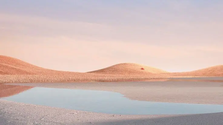 Poplingo 文章阅读与翻译功能示意图